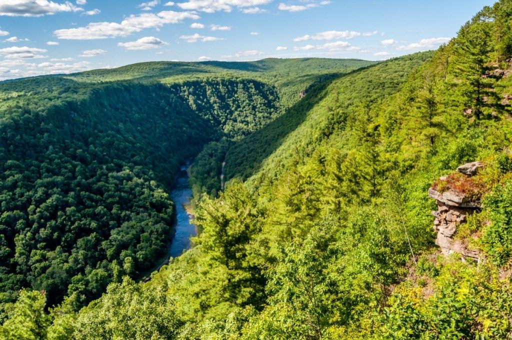 Pine Creek Gorge Pennsylvania staat natuurlijke wonderen