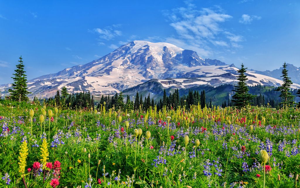 Националният парк Mount Rainier посочва природни чудеса