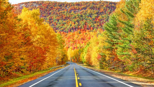 Los 9 mejores viajes por carretera en los EE. UU. para ver el follaje de otoño