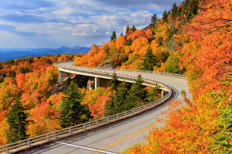   Пътят на Blue Ridge Parkway през есента