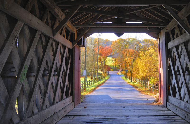   Utsikt fra innsiden av Ashland-dekket bro i Yorklyn, New Castle County, Delaware om høsten med fargerikt løvverk i sterkt sollys
