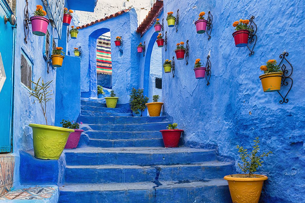 Синя стена и стълбище, украсени с цветни саксии в Шефшауен, Мароко