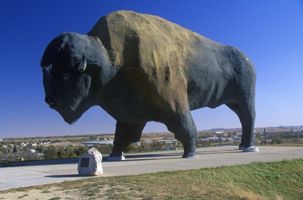 највећи светски музеј бивола у свету, Џејмстаун, Северна Дакота, иконичне државне фотографије