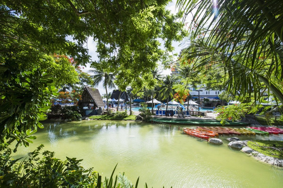 хотелска градина в Тумон Бей Гуам