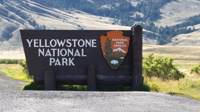 Yellowstone National Park vil ikke lade besøgende gøre dette, fra den 11. oktober