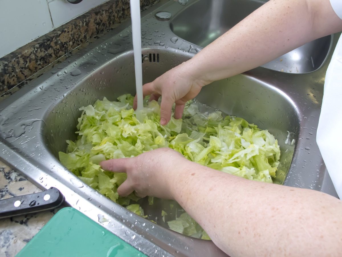 pekerja dapur membersihkan selada