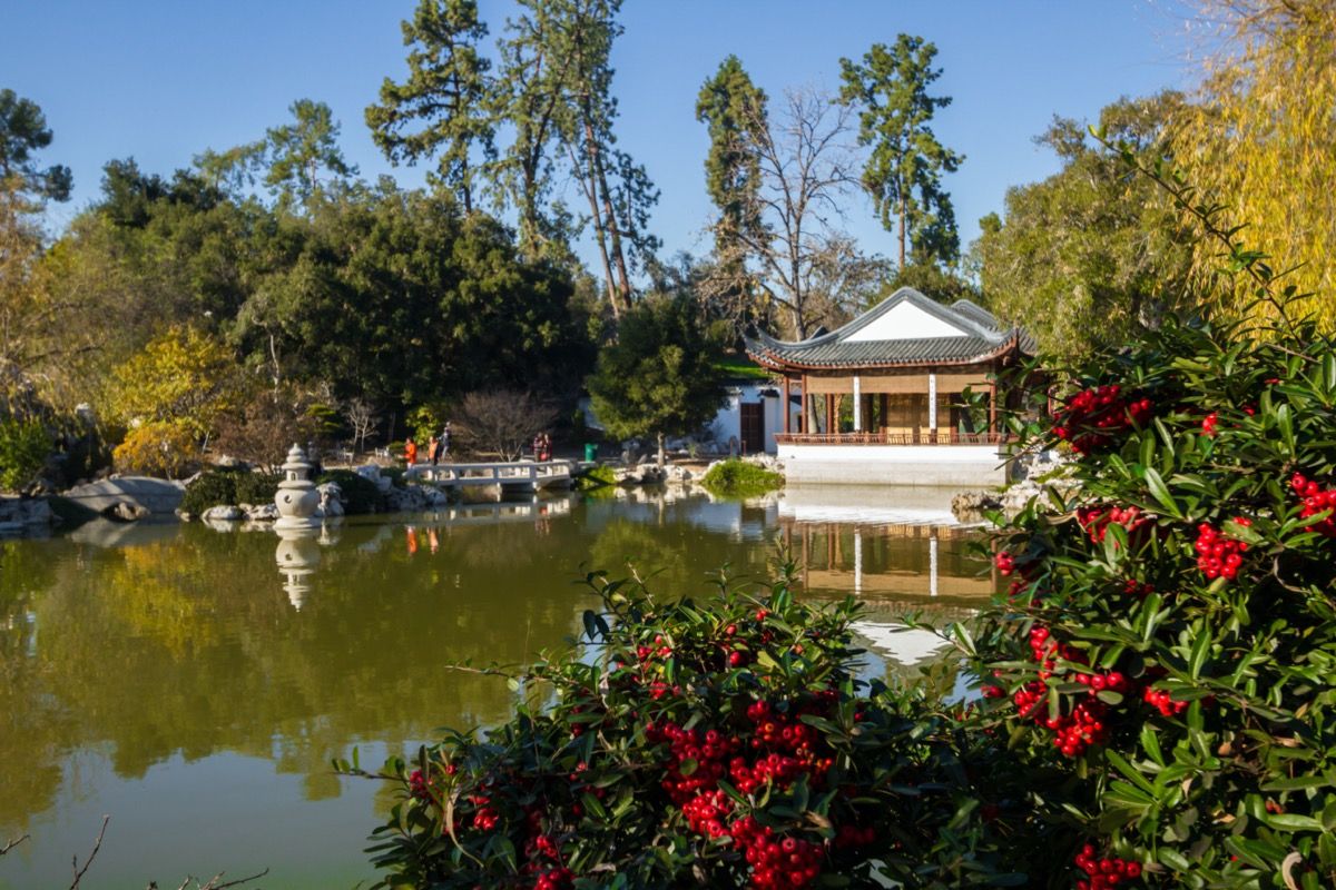 vrt in ribnik v Huntingtonu v Kaliforniji