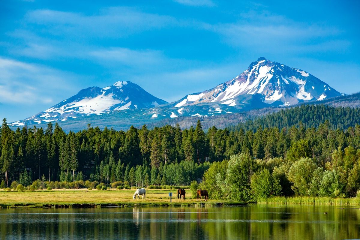 Õed Oregoni lähedal Oregoni keskmisel heinamaal karjatavad kolm hobust, taustal kolm õe mäge