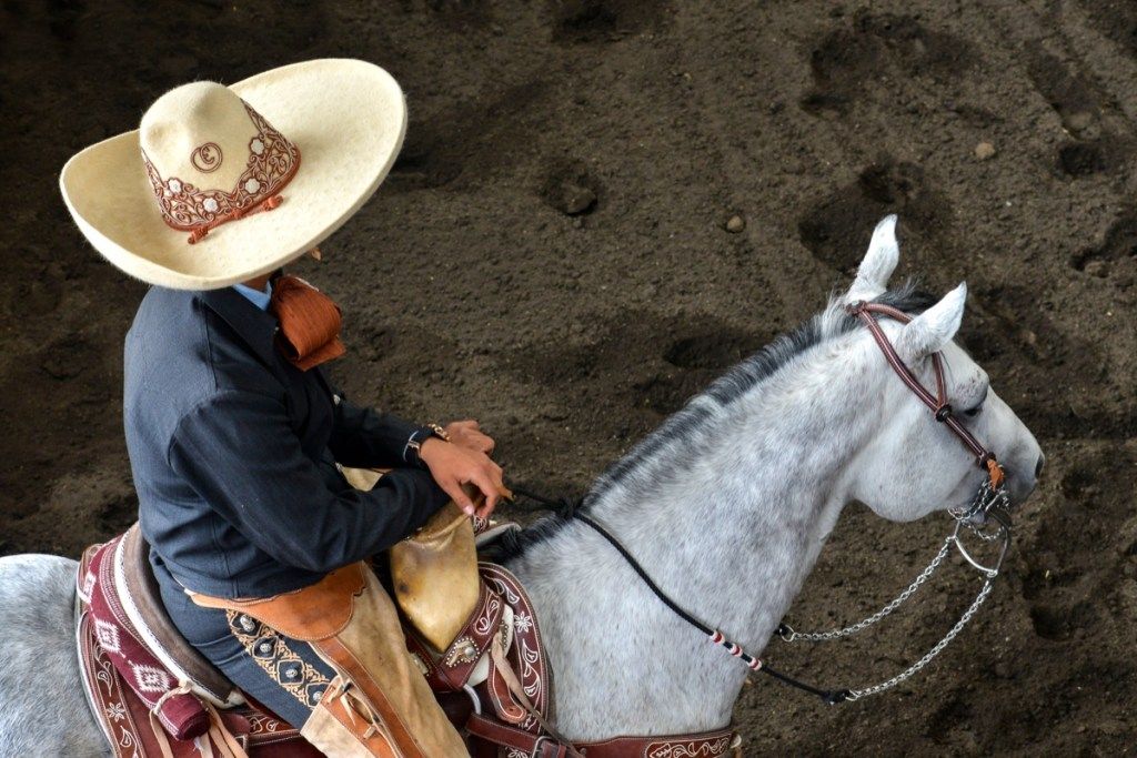 ชาวเม็กซิกัน charros mariachis ม้าหมวกปีกกว้างเม็กซิโกประเพณีประเพณีการแข่งรถ ruedo เทศกาลวัฒนธรรมชนบทวันหยุดขี่ม้าเครื่องแต่งกายแบบดั้งเดิมกลางแจ้งเครื่องแต่งกายคาวบอยชาวเม็กซิกันหมวกวงดนตรี