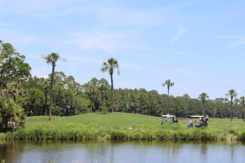   Charlestoni golf