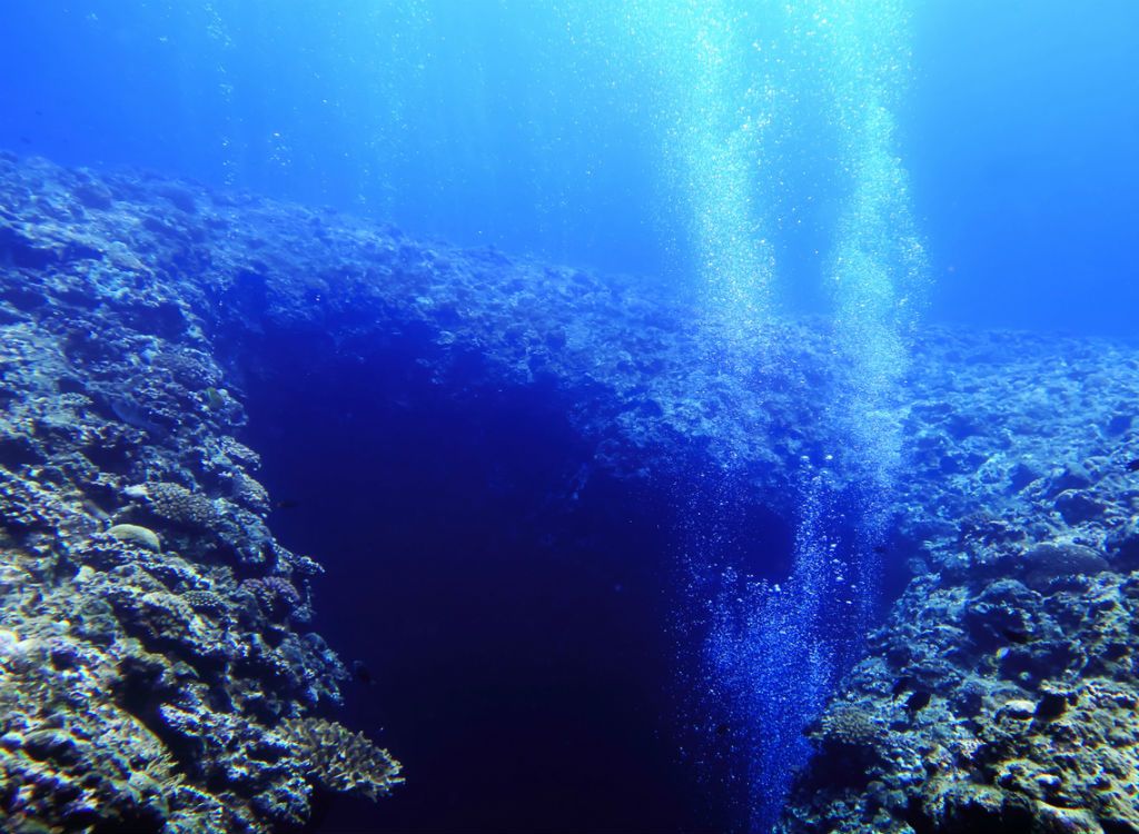 महासागरों के बारे में समुद्री तथ्यों के तहत हाइड्रोथर्मल वेंट