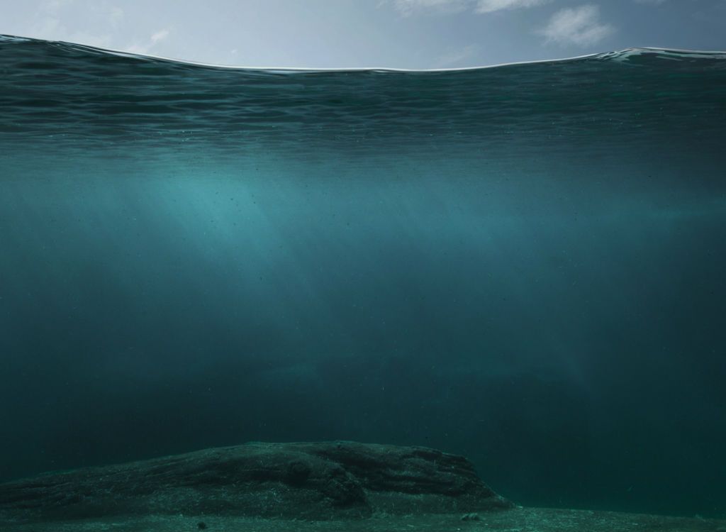 Vandenyno paviršiaus ir dugno faktai apie vandenynus