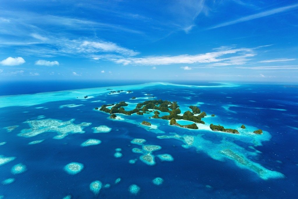 पलाऊ द्वीप महासागरों के बारे में महासागर के तथ्य