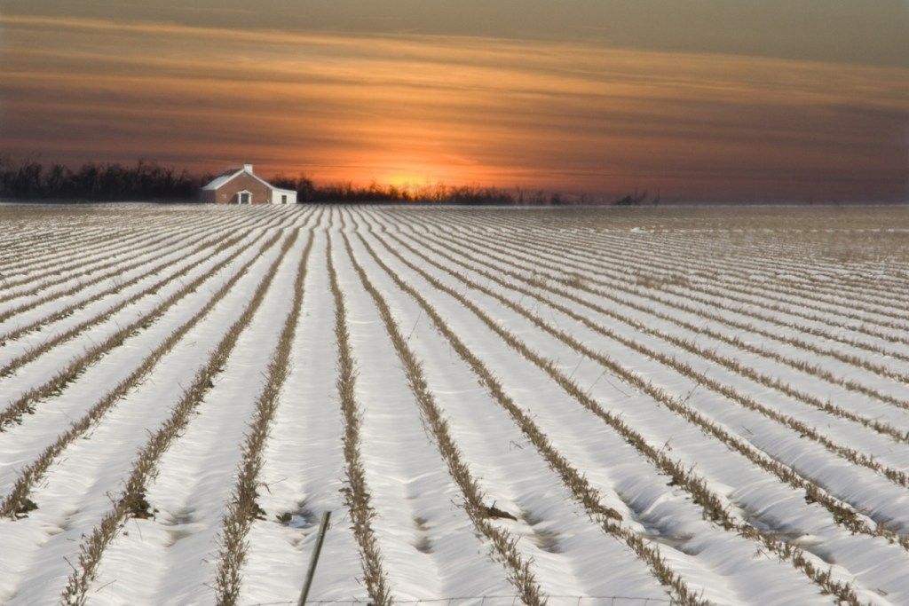 Arkansasko polje pokrito s snegom