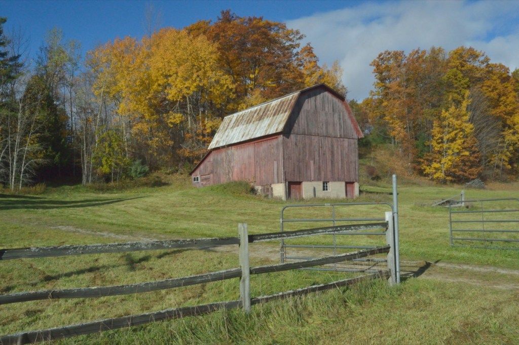 Old Barn, Harisvila Mičigana - attēls