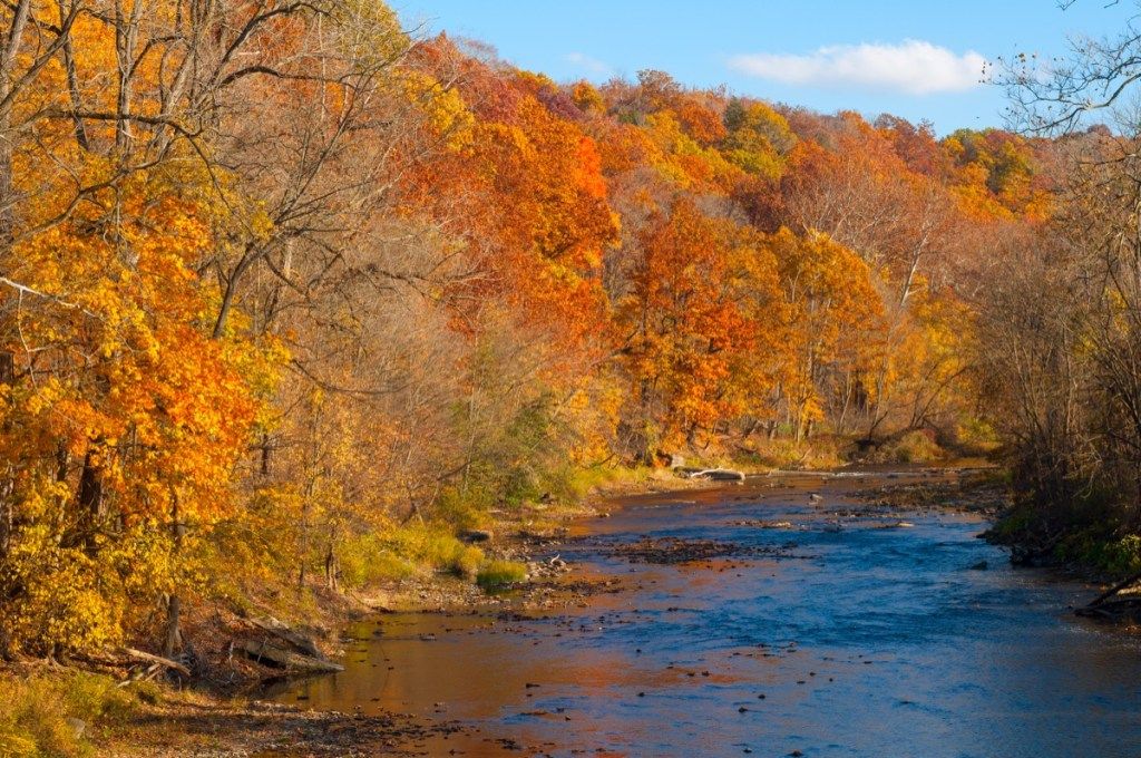 Šagrina upe Geitsu Millsā, Ohaio, kas plūst cauri spožai rudens krāsai - attēls