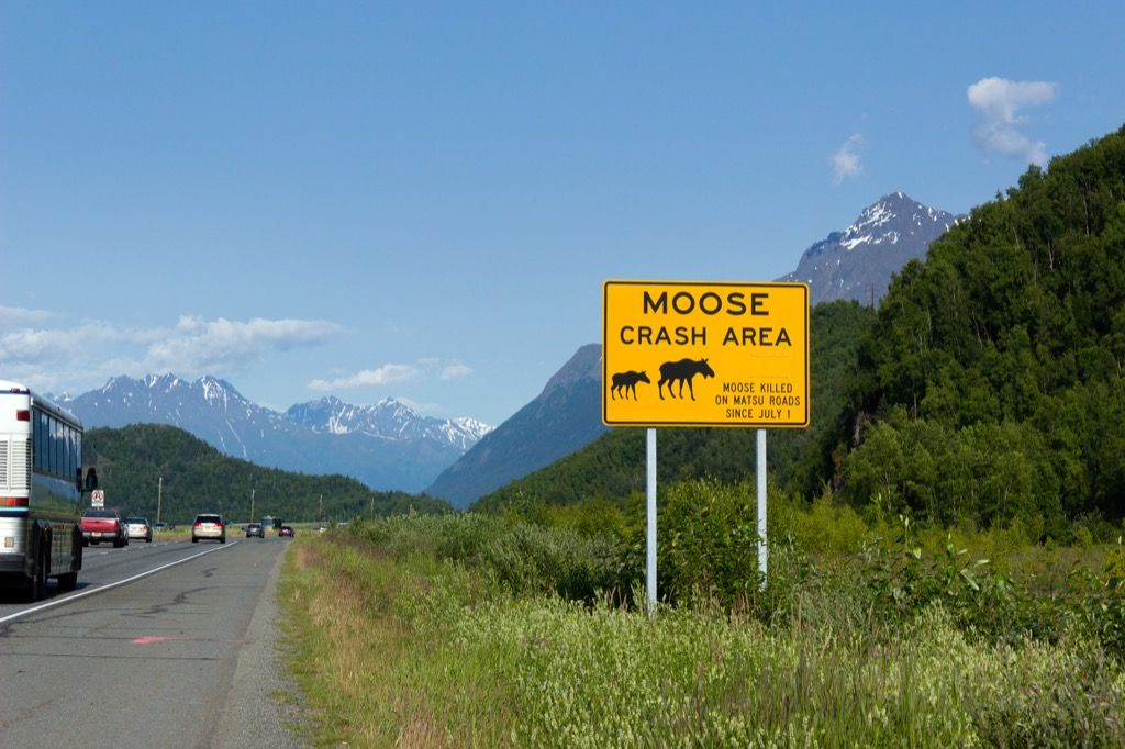 Alaska e 1 strada più trafficata in ogni stato