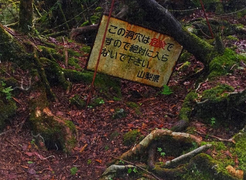 Aokigahara sebevražedný les