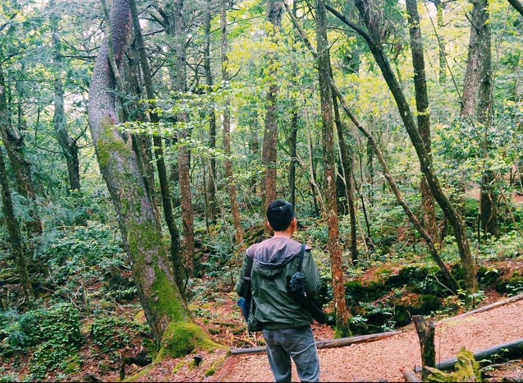 Floresta suicida de Aokigahara