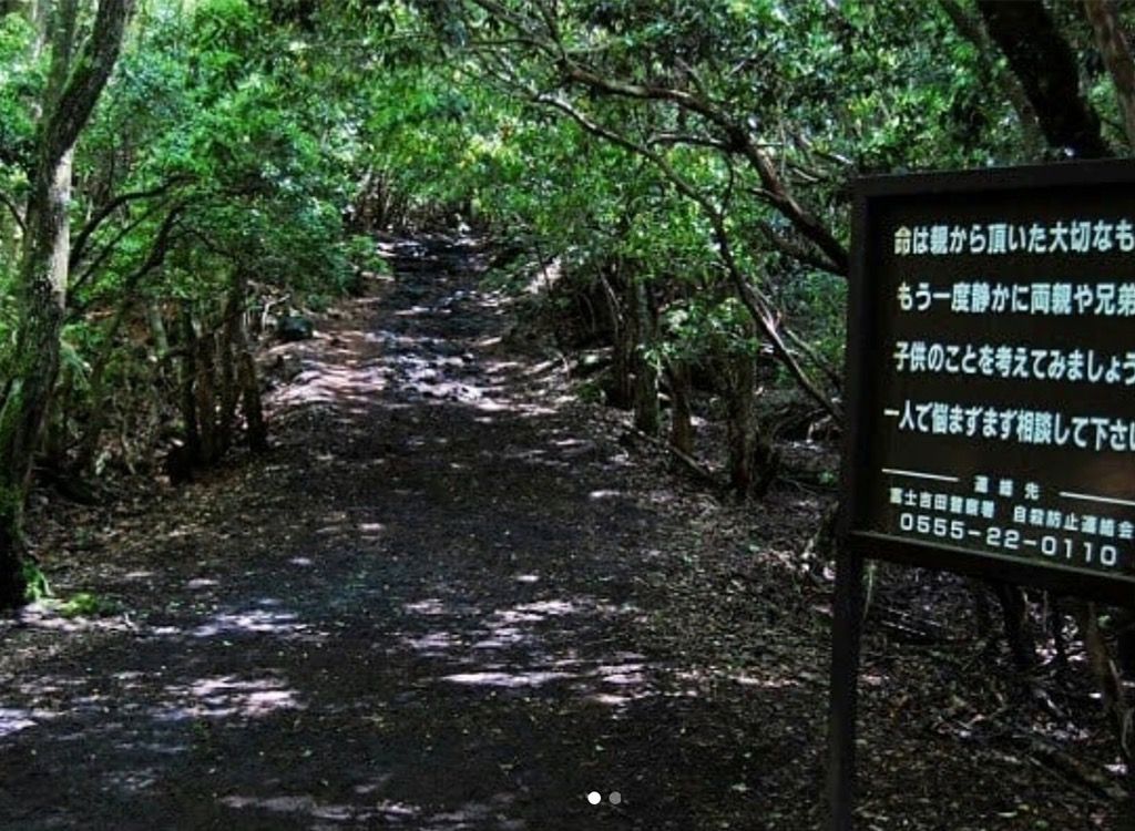 Aokigaharas Japānas pašnāvnieku mežs