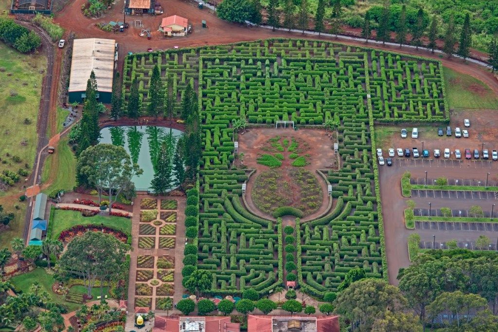 största labyrint i hawaii, konstiga landmärken