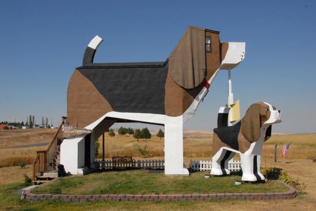 Айдахо памук бигъл куче парк, странни държавни забележителности