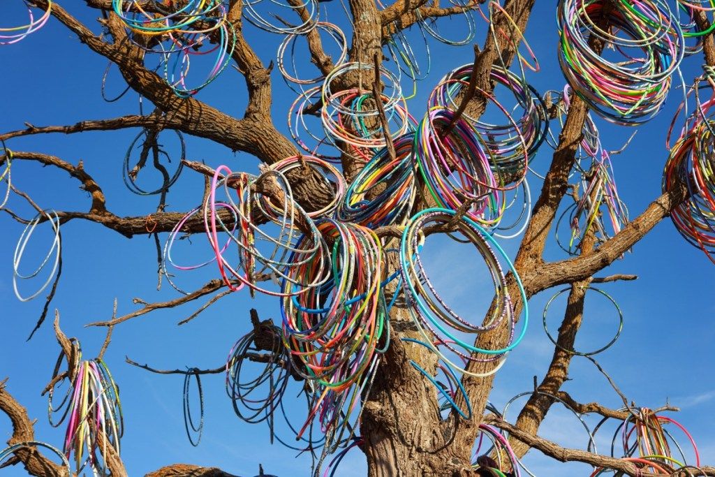 albero di hula hoop in iowa, punti di riferimento di stato strano