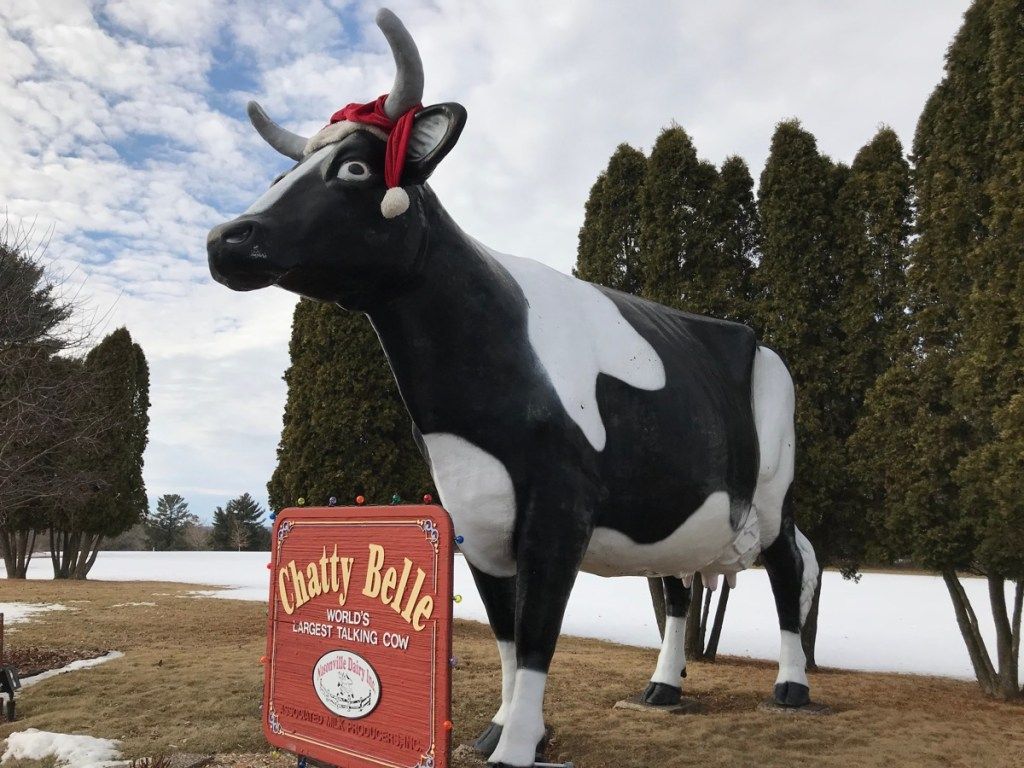 болтливая красавица говорящая корова, ниллсвилл, штат висконсин, странные достопримечательности штата