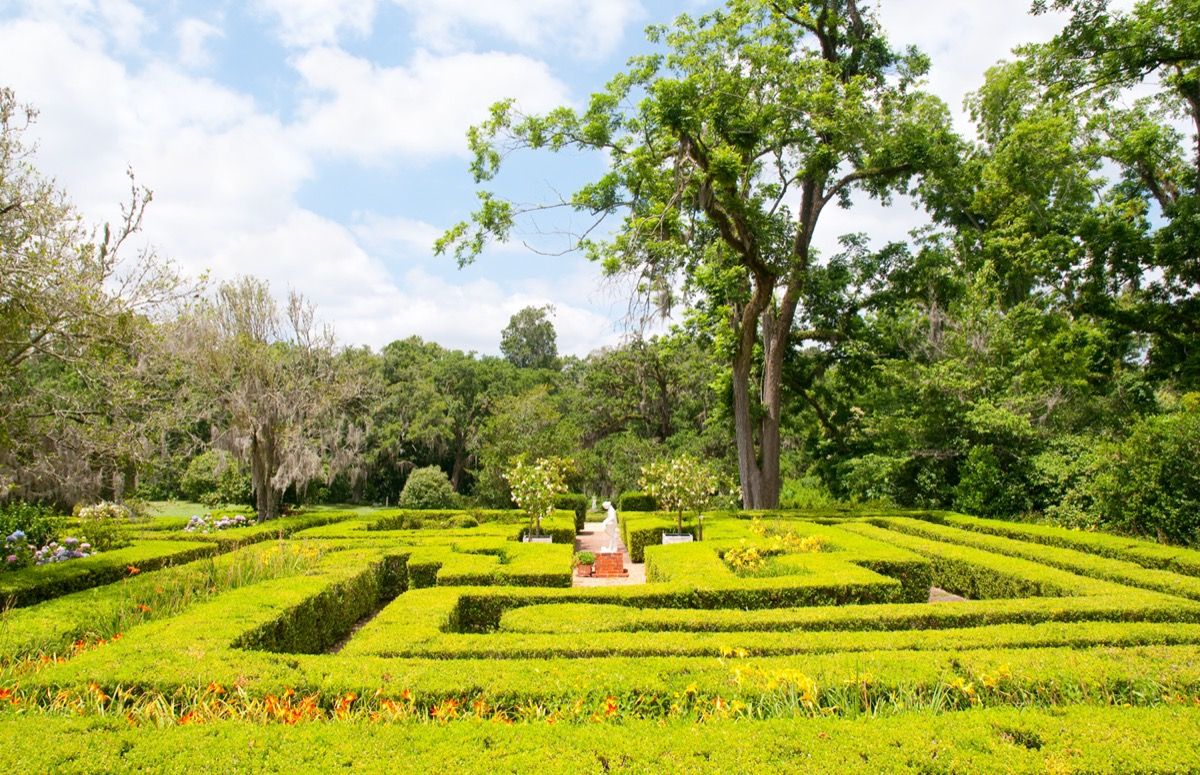 labirin di taman Louisiana