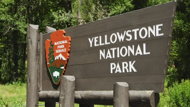 Yellowstonen kansallispuisto antaa vierailijoiden tehdä tämän, nyt alkaen
