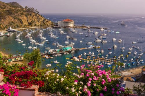   Santa Catalina Kalifornija