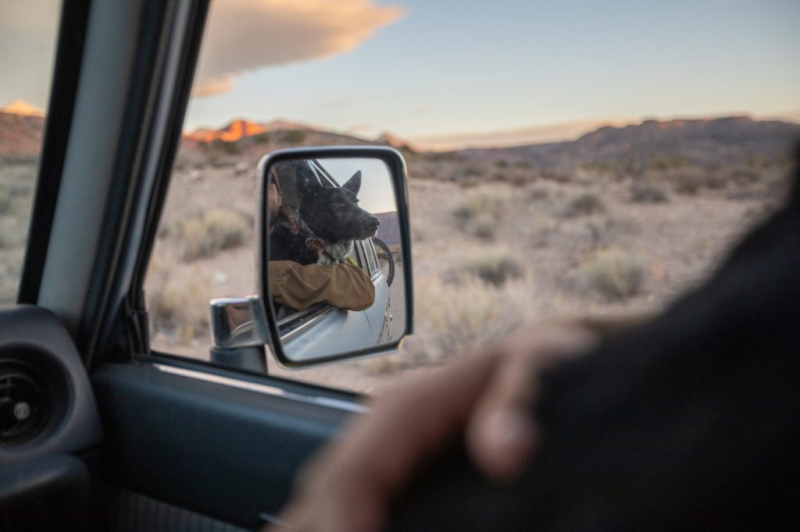   Una imagen de un perro en el espejo retrovisor de un automóvil mientras saca la cabeza por la ventana mientras conduce por el desierto de Moab en Utah