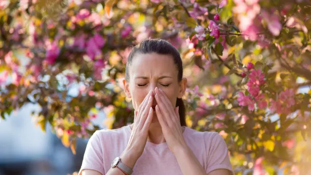 4 најбоља суплемента за алергије, према лекарима
